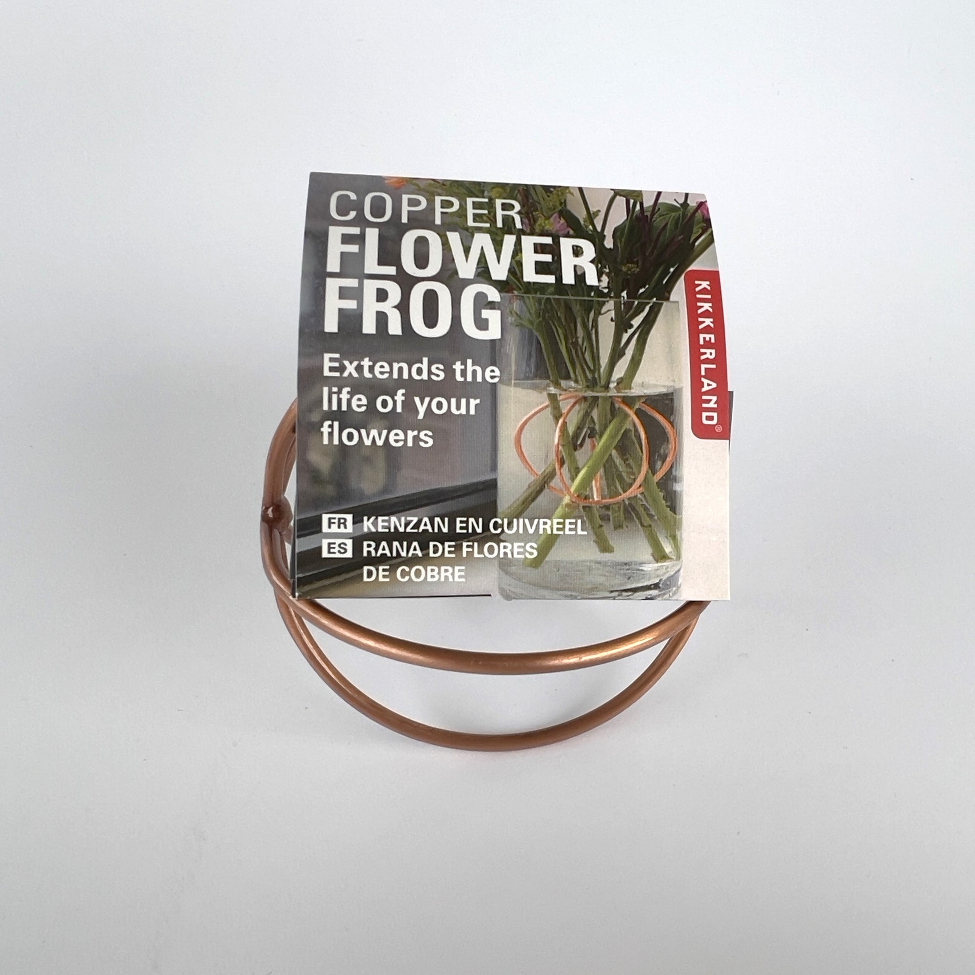 Flower Frog - Quirk Space