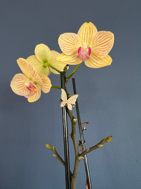 Flower Charms - Quirk Space