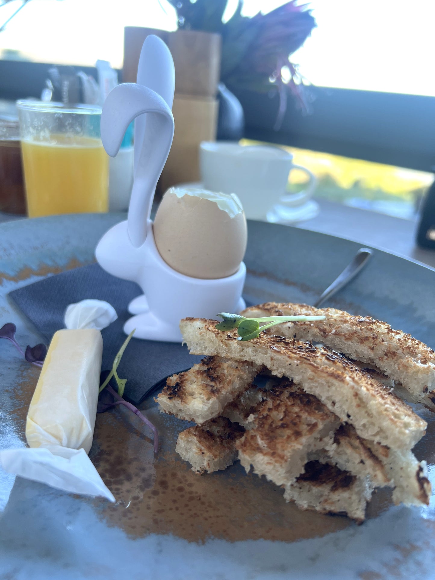 Qualy Bunny Egg Cup & Spoon - Quirk Space