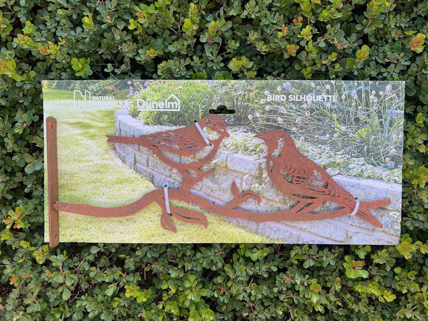 Bird Silhouette Sign - Quirk Space