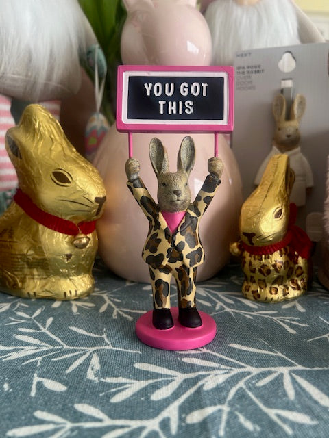 You Got This Rabbit! - Quirk Space