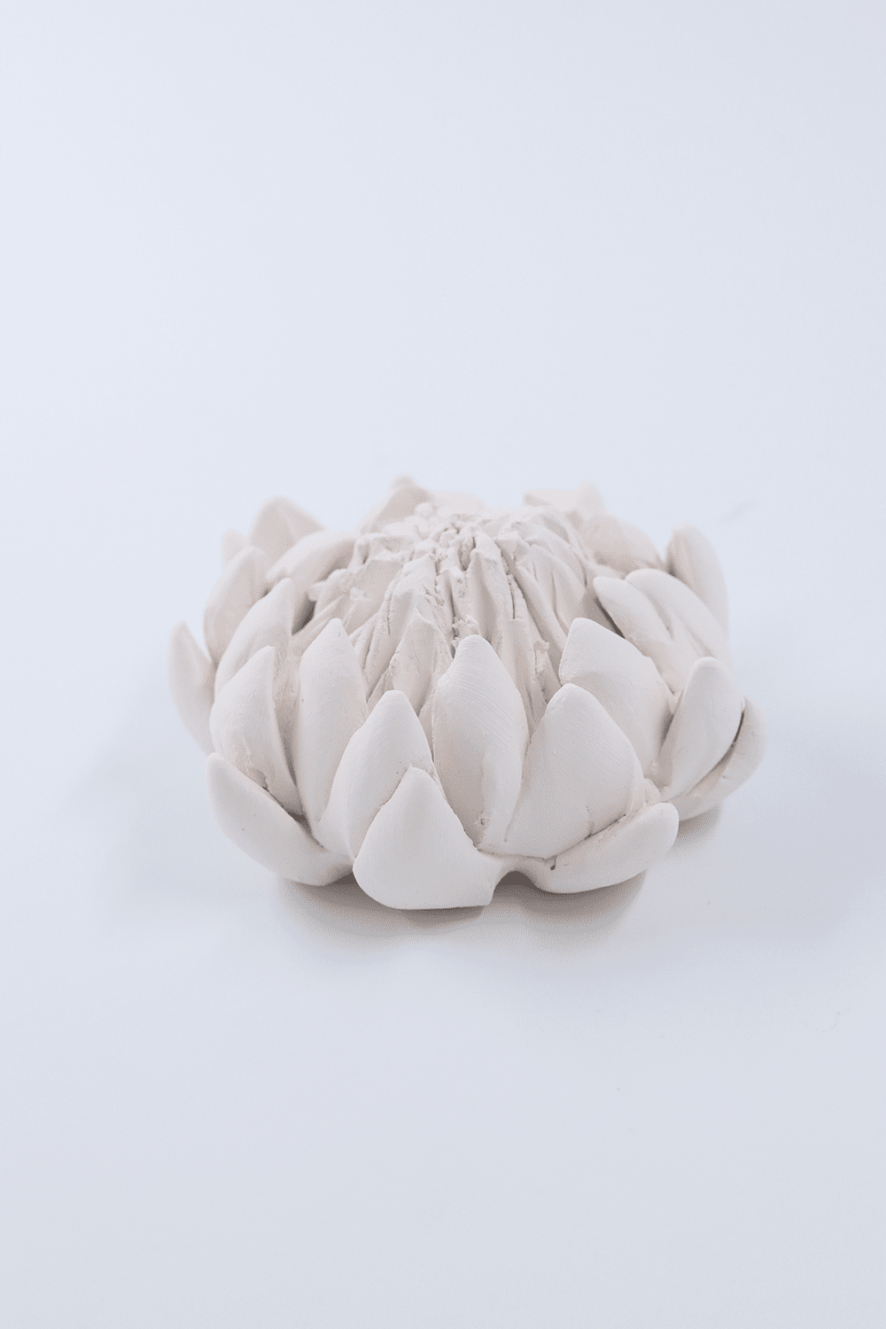 Essential King Protea Diffuser