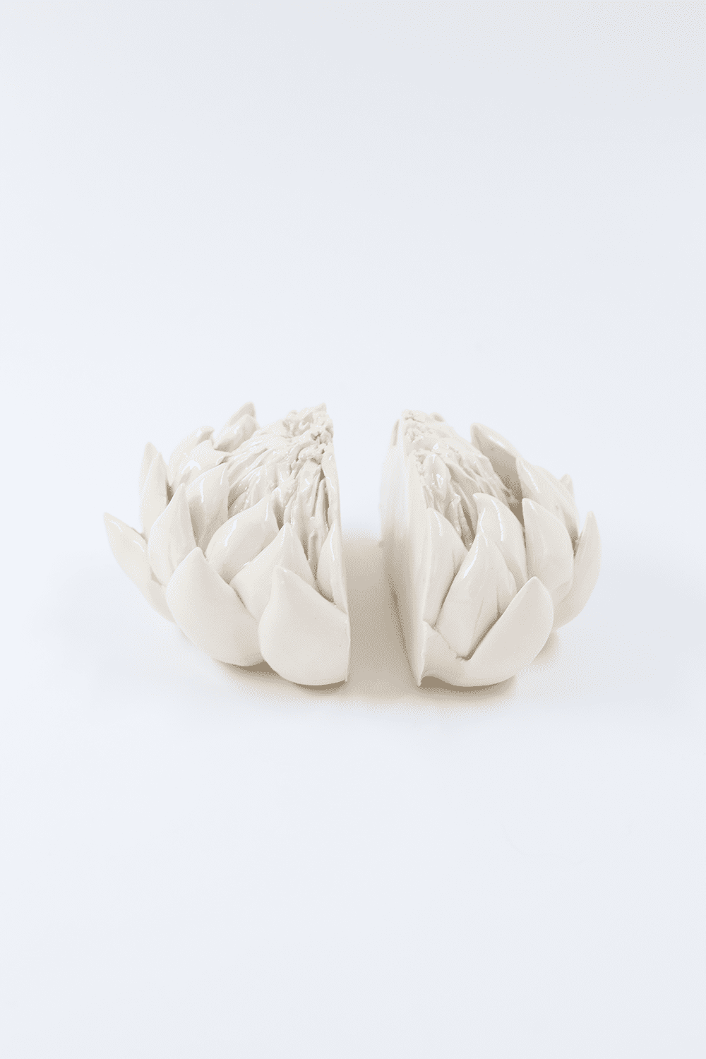 King Protea Bookends