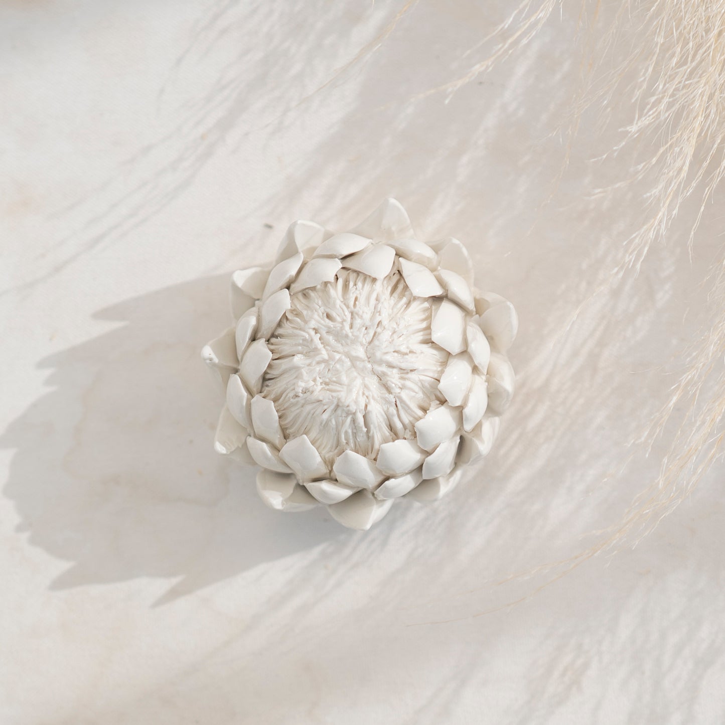 Essential King Protea Diffuser - Quirk Space