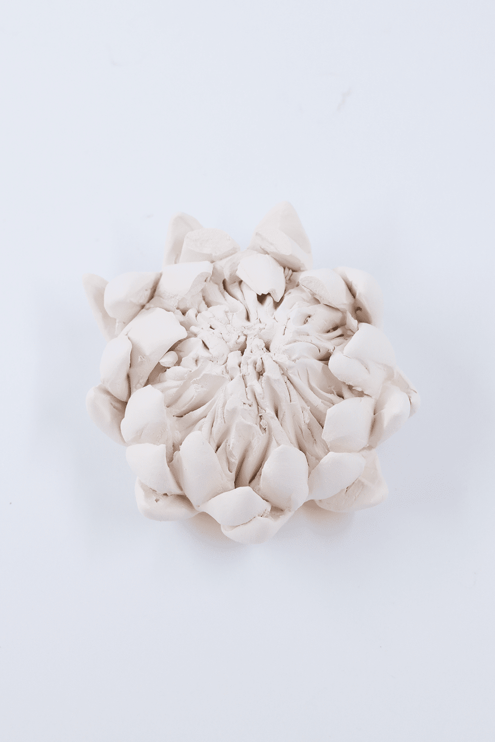 Essential King Protea Diffuser