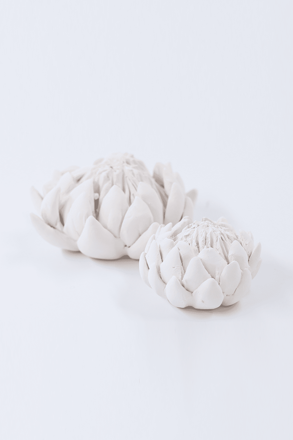 Essential King Protea Diffuser