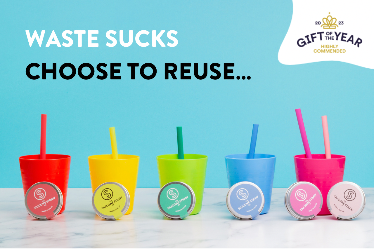 Reusable Silicone Straw Travel Tins - Quirk Space