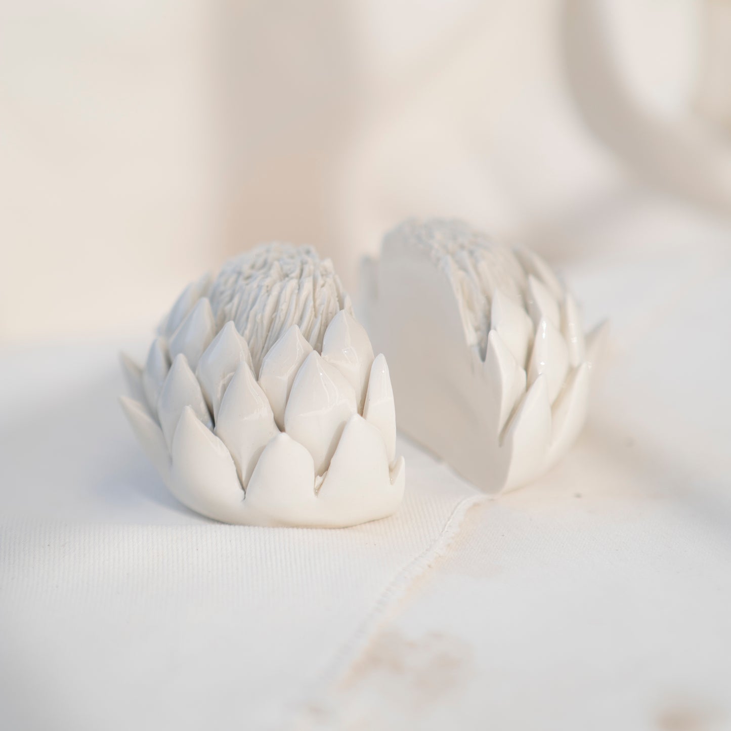 King Protea Bookends - Quirk Space