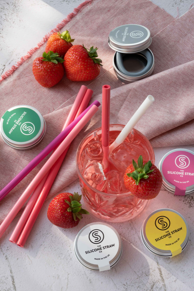 Reusable Silicone Straw Travel Tins - Quirk Space