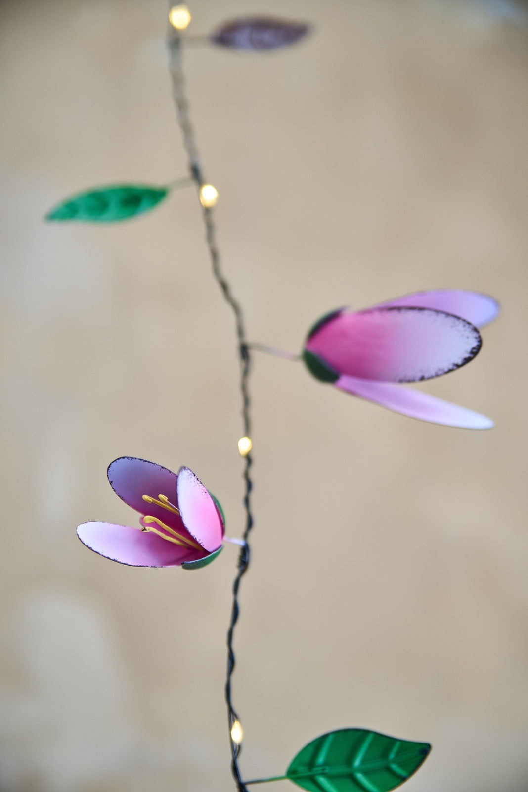 Magnolia 20 outdoor string lights