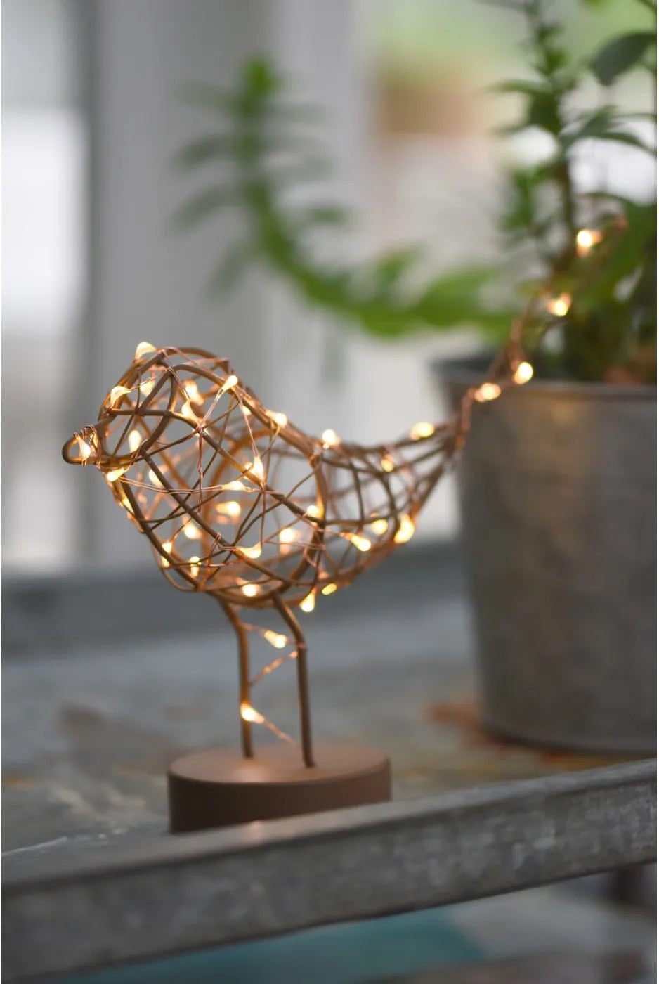 Robin fairy light ornamnet