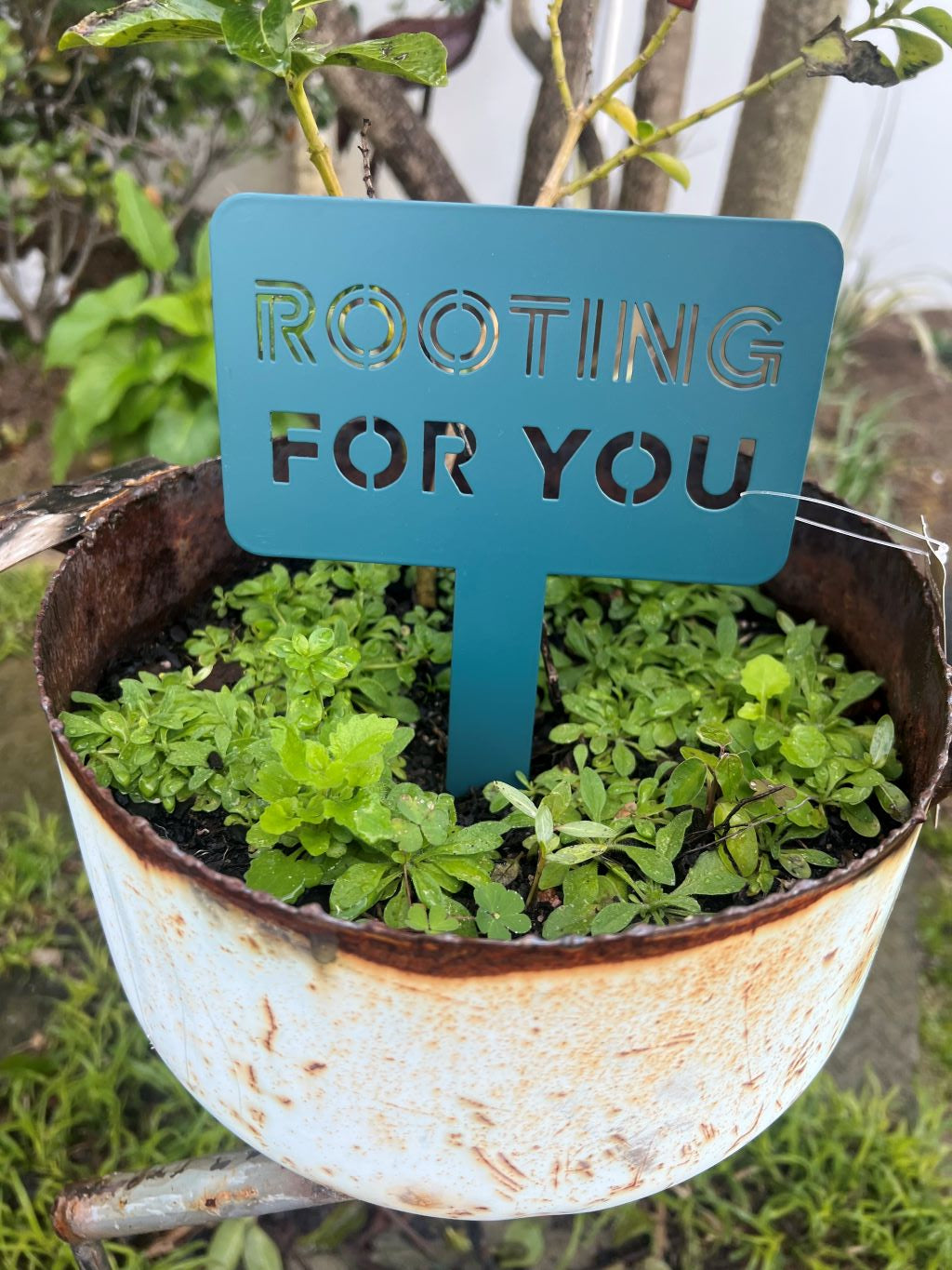 "Rooting For You" Garden Sign